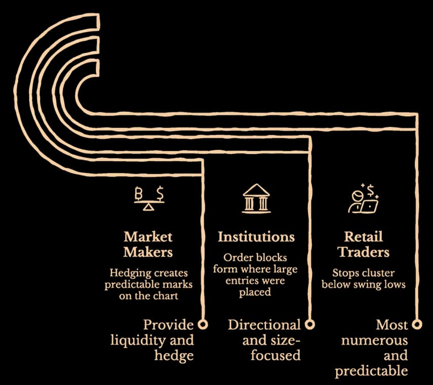 Three market participant types compared
